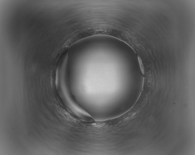 X0000075410916200609081307