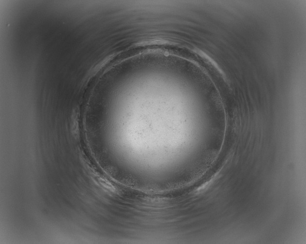 X0000075410921200609081307