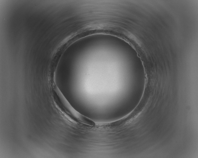 X0000075410922200609081307