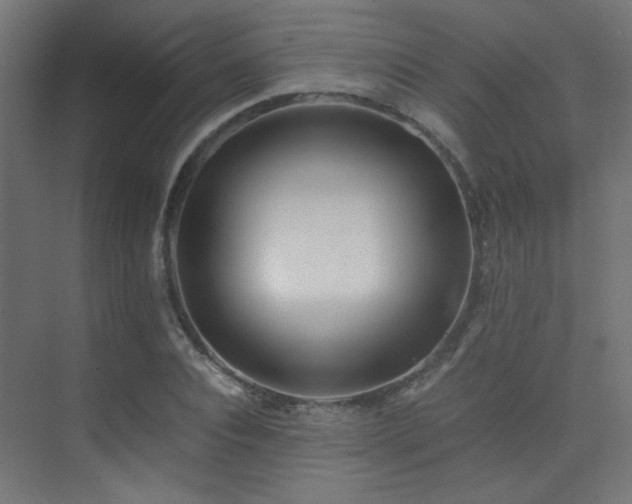 X0000075410928200609081307
