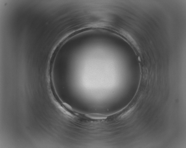 X0000075410939200609081307
