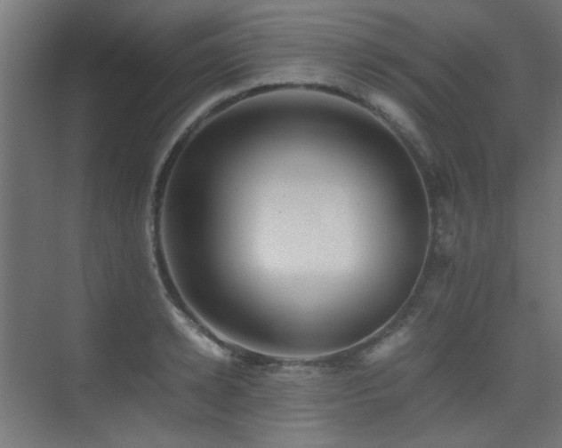 X0000075410942200609081307