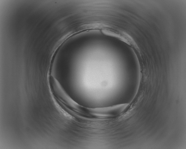 X0000075410946200609081308