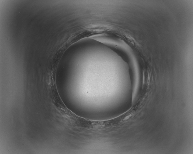 X0000075410965200609081307