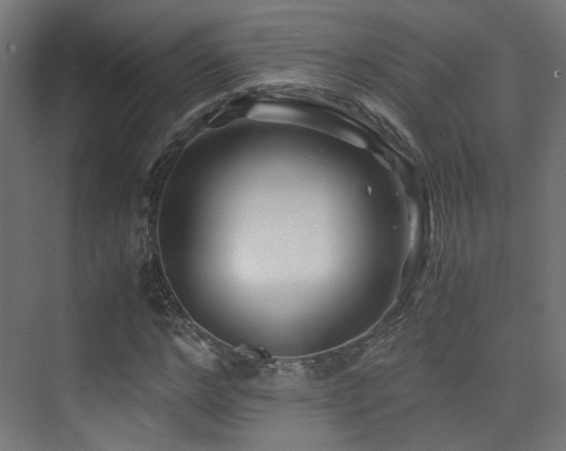 X0000075410968200609081307