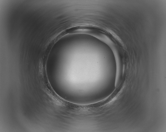 X0000075410969200609081307
