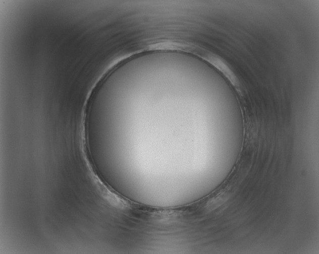 X0000075411000200609081306