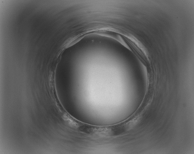 X0000075411001200609081306