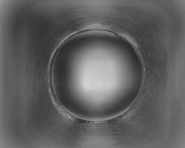 X0000075411008200609081306