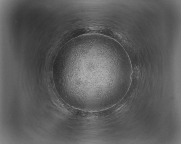 X0000075411009200609081305