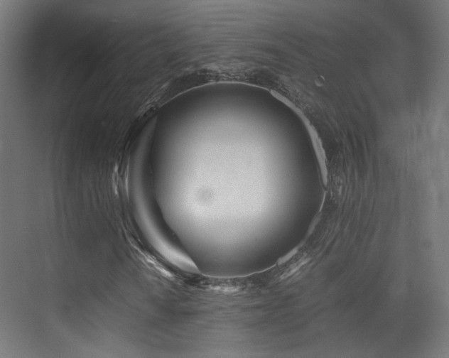 X0000075411010200609081305