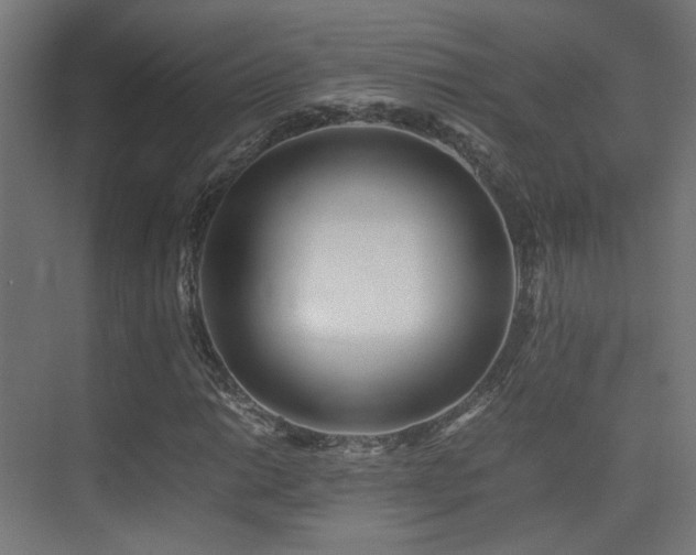 X0000075411014200609081305