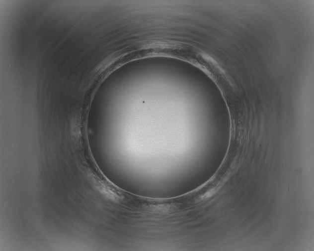 X0000075411017200609081306