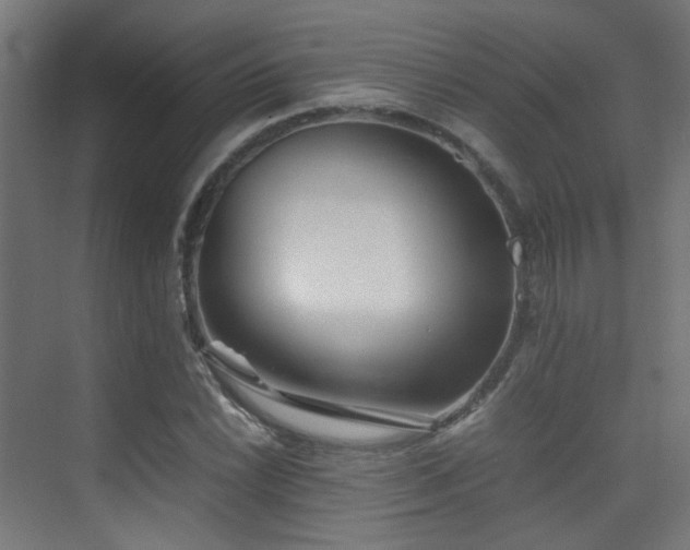 X0000075411022200609081306