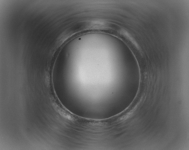 X0000075411025200609081306