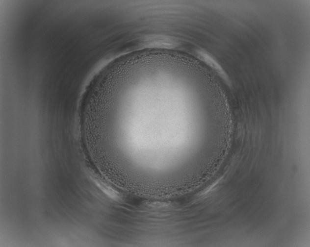 X0000075411027200609081306