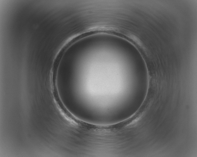 X0000075411030200609081306