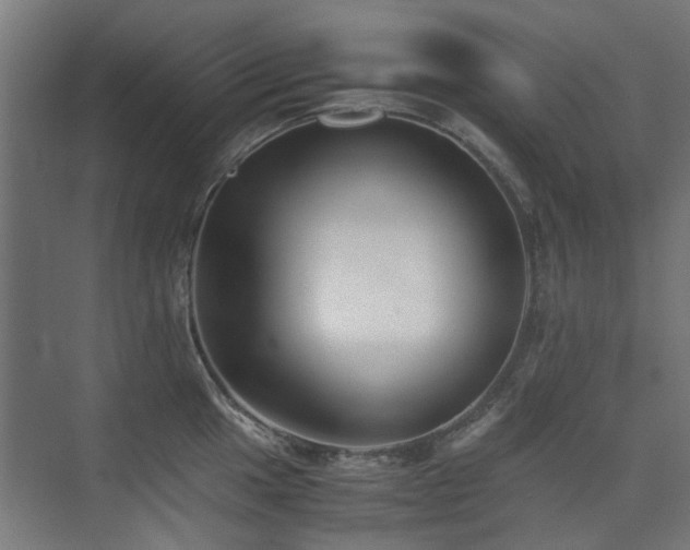 X0000075411049200609081306