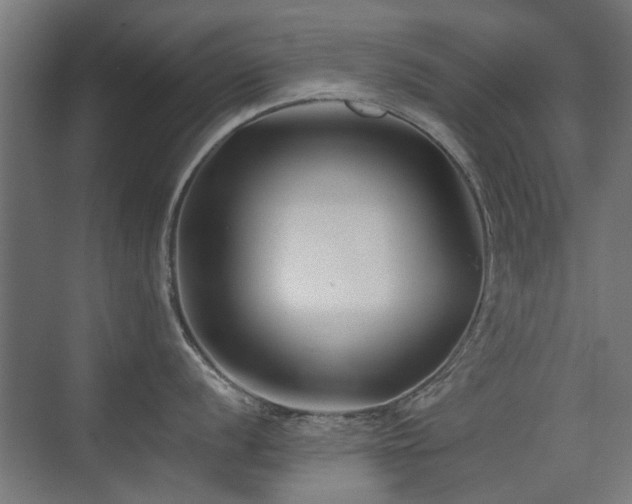 X0000075411056200609081306