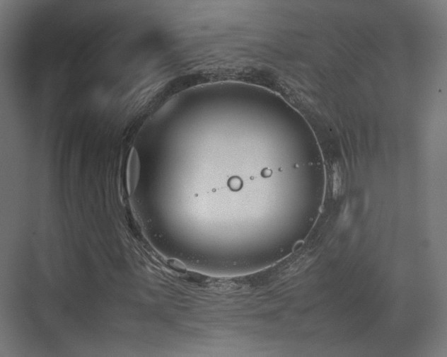X0000075411059200609081305