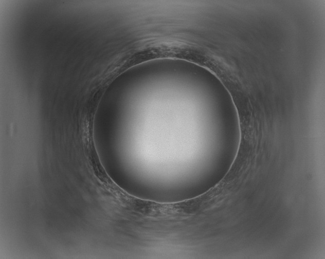 X0000075411061200609081305