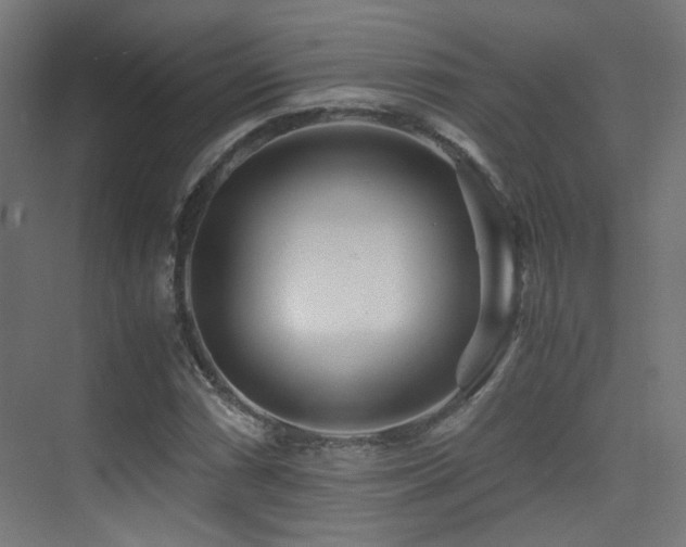 X0000075411066200609081305