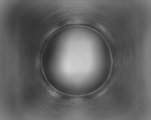 X0000075411073200609081305
