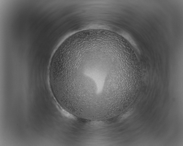 X0000075411094200609081305