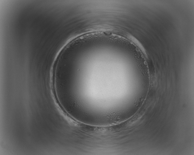 X0000075411099200609081305