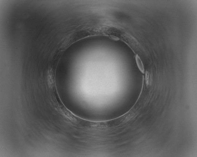 X0000075411107200609081304