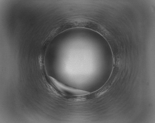 X0000075411108200609081304