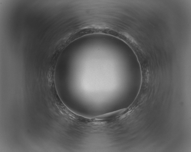 X0000075411110200609081304