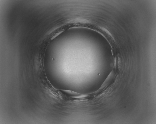 X0000075411112200609081304