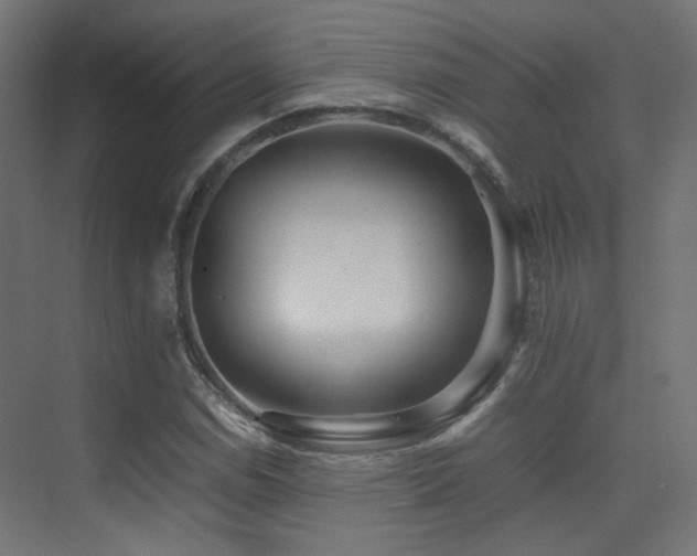 X0000075411114200609081304