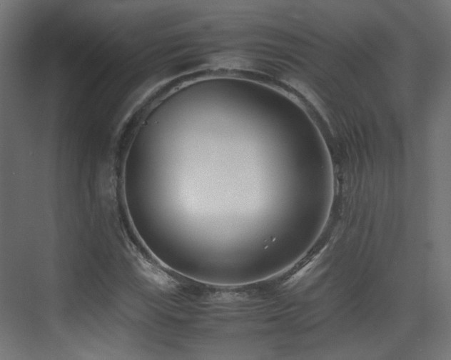 X0000075411115200609081304