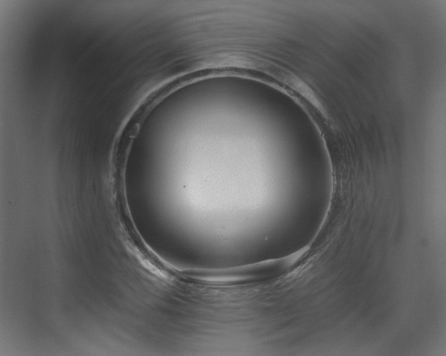 X0000075411116200609081304