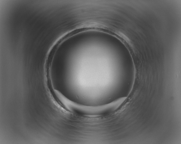 X0000075411120200609081304