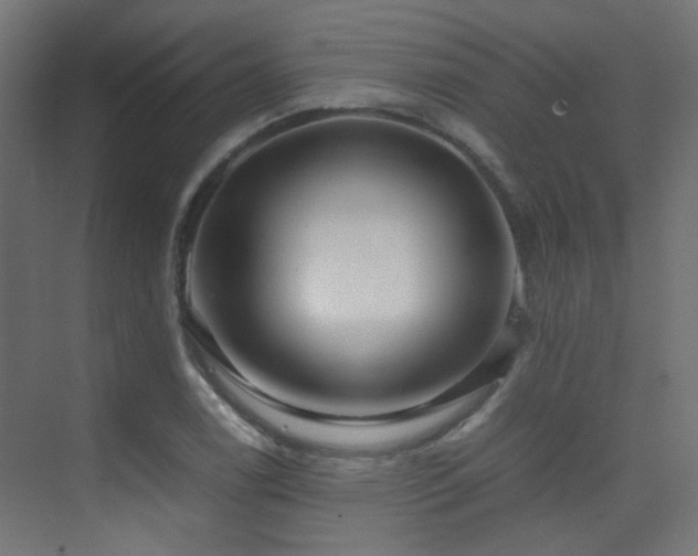 X0000075411122200609081304