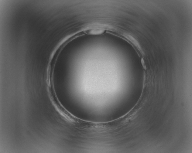 X0000075411128200609081304