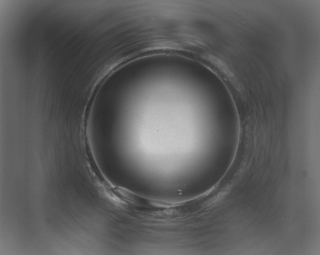 X0000075411129200609081304