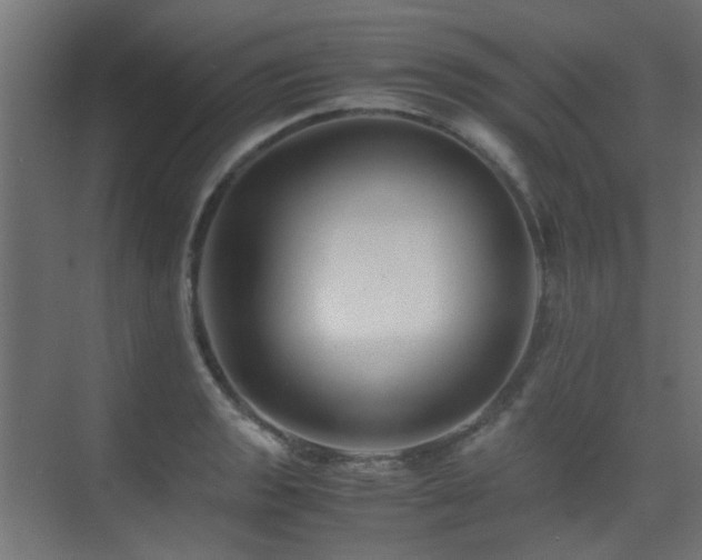 X0000075411133200609081304