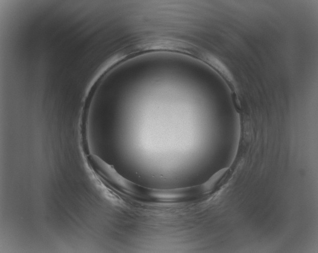 X0000075411138200609081304