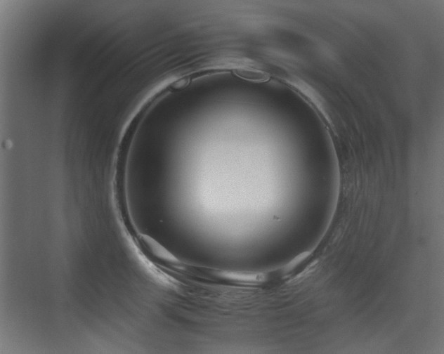 X0000075411139200609081304