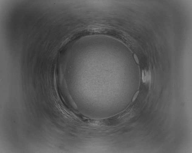 X0000075411155200609081304