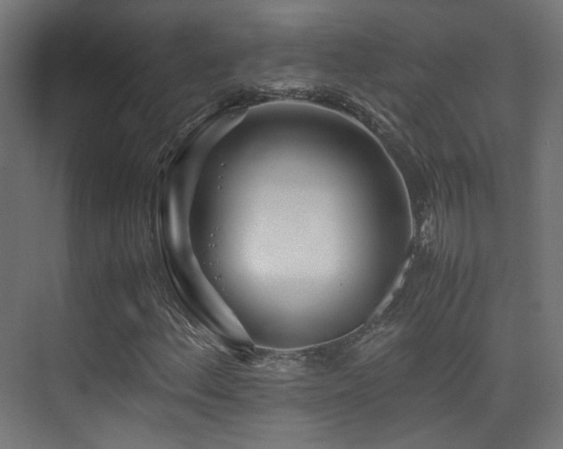 X0000075411156200609081304