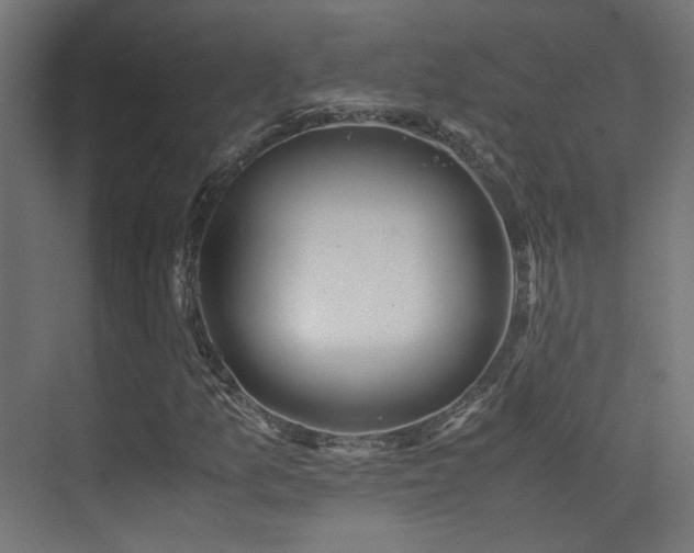 X0000075411157200609081304