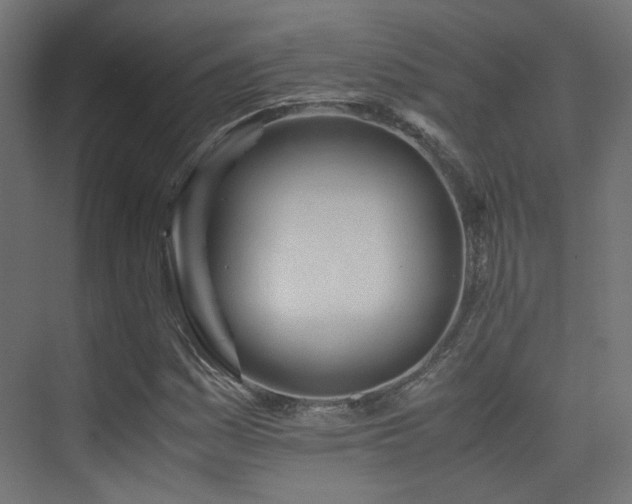 X0000075411161200609081304