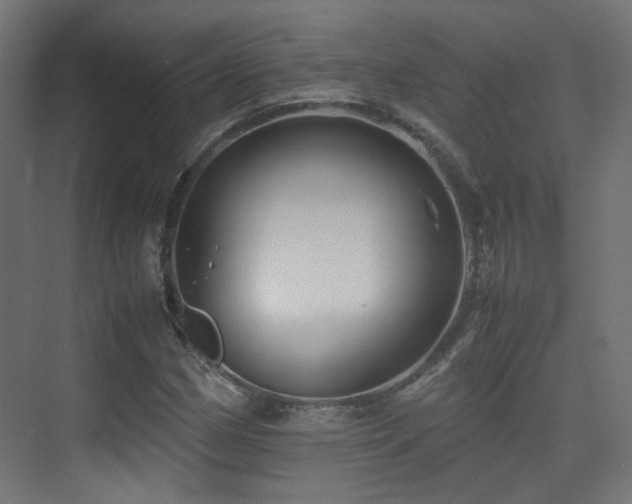 X0000075411162200609081304