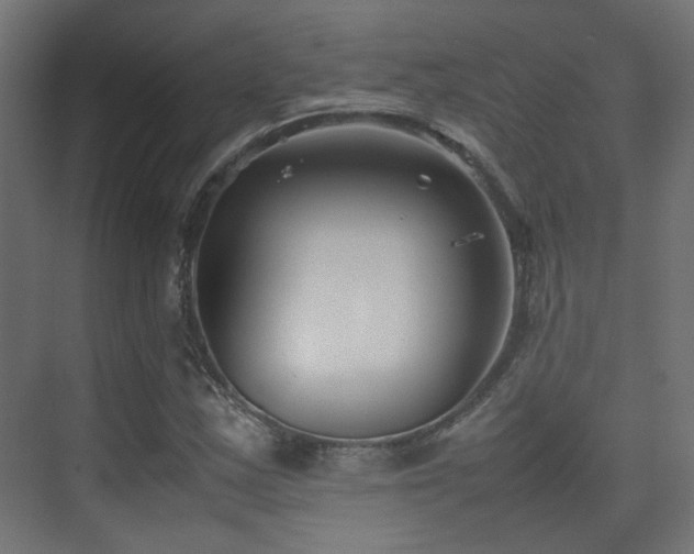 X0000075411163200609081304