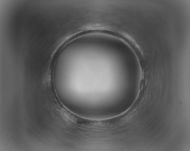 X0000075411167200609081304